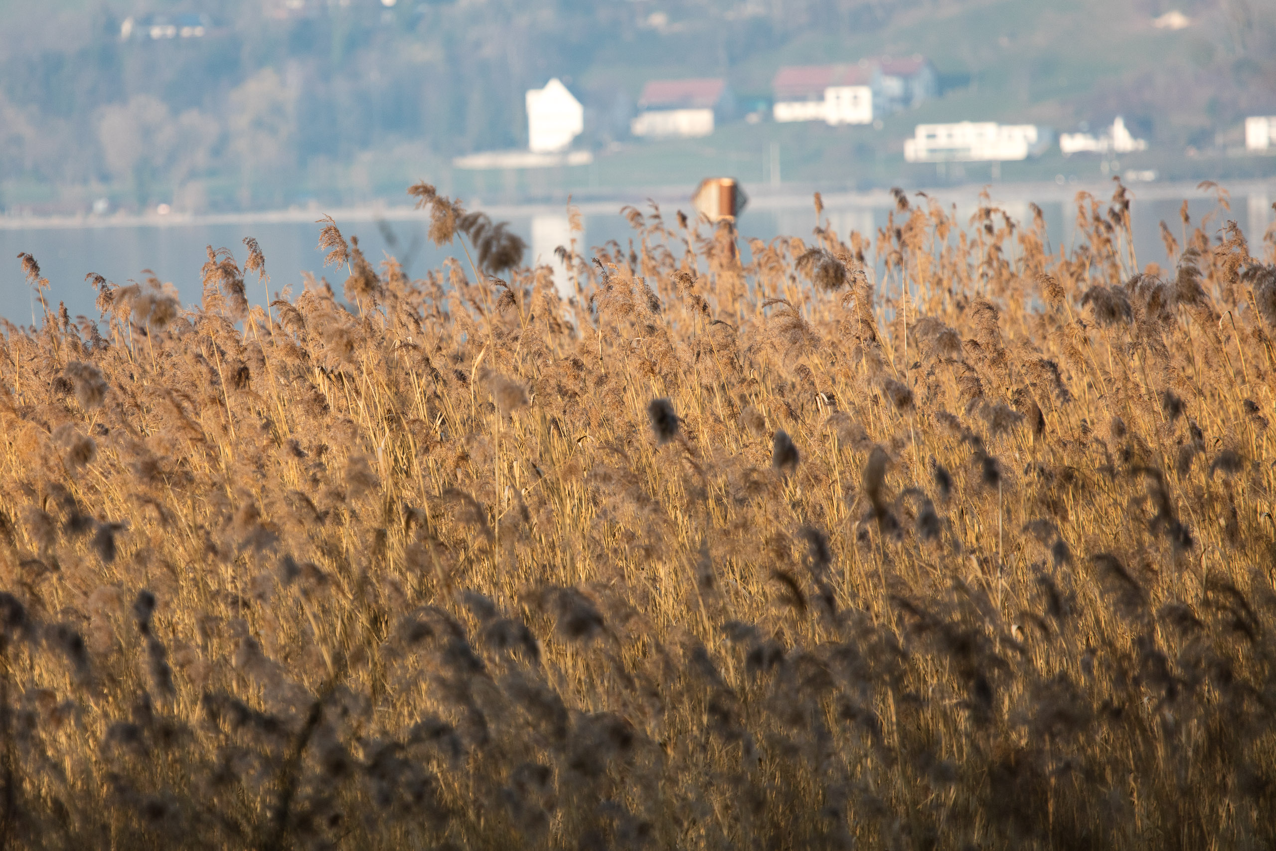 20160319174349 DP017862